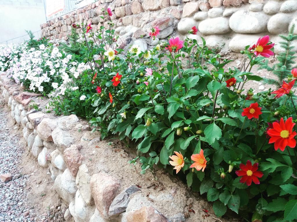 Guest House Arbat Çolpan Ata Dış mekan fotoğraf