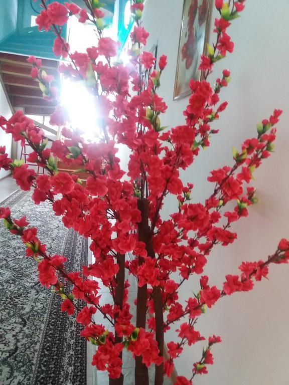 Guest House Arbat Çolpan Ata Dış mekan fotoğraf