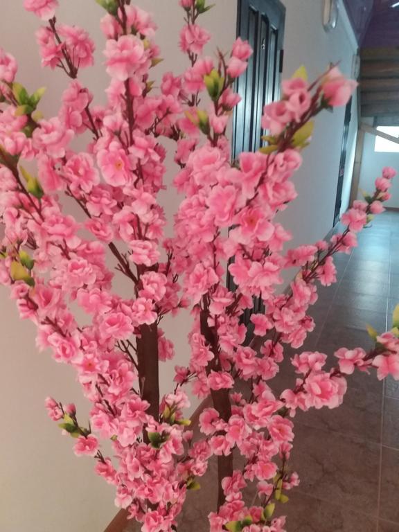 Guest House Arbat Çolpan Ata Dış mekan fotoğraf